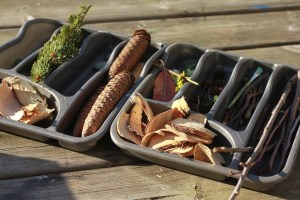 invitation reggio  blog planete parentage fete du printemps ostara 2019