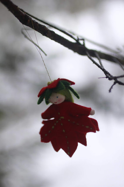 Cette image a un attribut alt vide ; le nom du fichier est blog%2Bsolstice%2Bhiver3.jpg