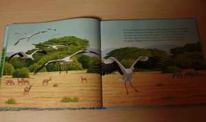 avis livre une année avec les cigognes, la petite salamandre lecture enfant blog planete parentage IEF unschooling