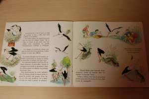livre enfant cig la cigogne, migration cigogne lecture enfant blog planete parentage IEF