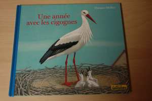 livre une année avec les cigognes la petite salamandre, migration lecture automne blog planete parentage